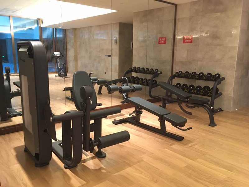 酒店健身房器材,室内健身器材,高端商用健身器材-广西bsports(中国)体育健身器材有限公司官网