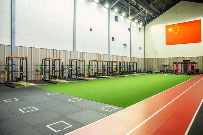 体能训练解决方案-广西bsports官网体育 体能训练解决方案-广西bsports官网体育